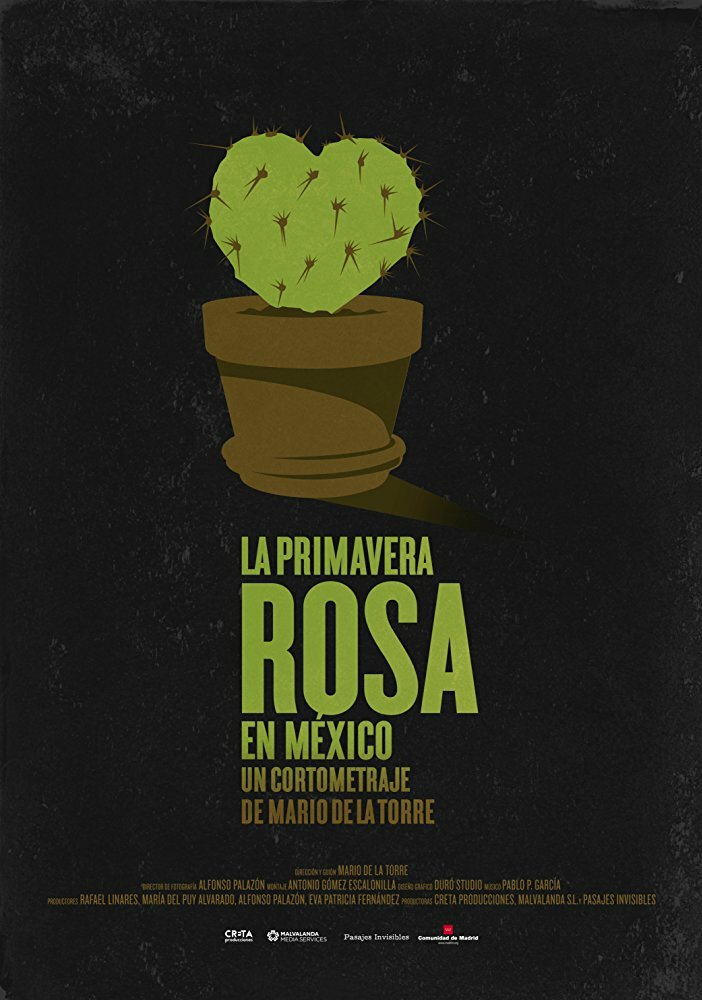 Primavera Rosa en México (2016) постер