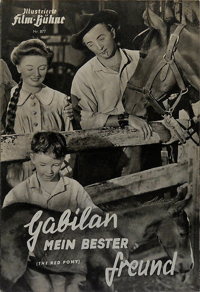 Рыжий пони (1949) постер