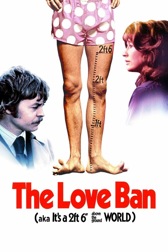 Запрет на любовь (1973) постер