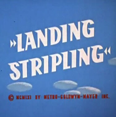 Желаем мягкой посадки (1962) постер