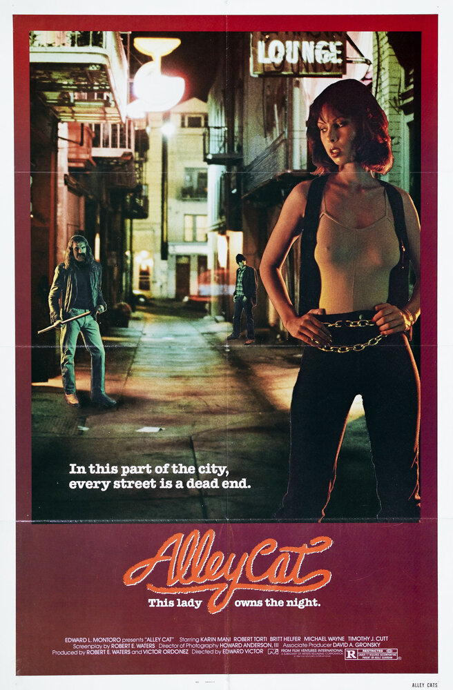 Уличная кошка (1984) постер