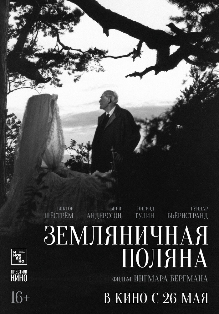 Земляничная поляна (1957) постер