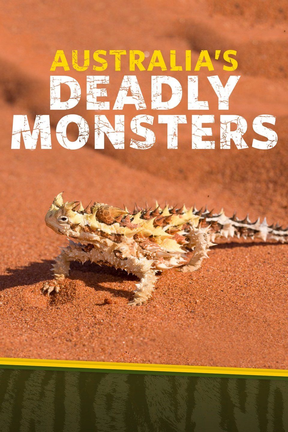 Deadly Australians (2017) постер