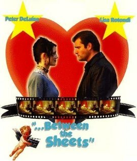Любовь по сценарию (2003) постер