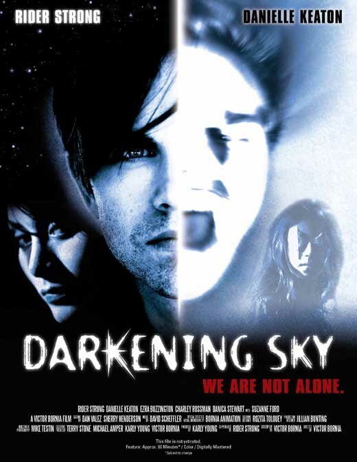 Темнеющее небо (2010) постер
