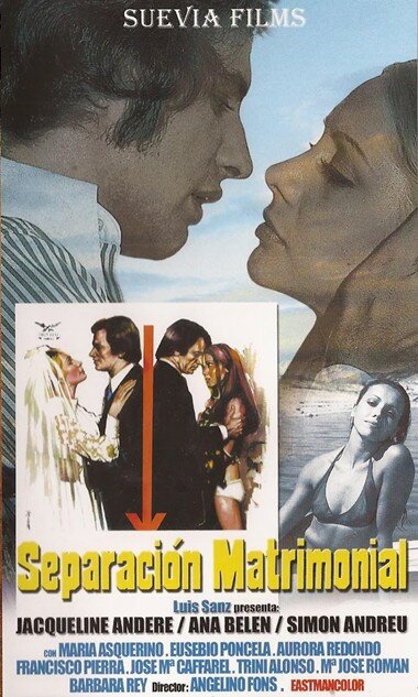 Развод (1973) постер