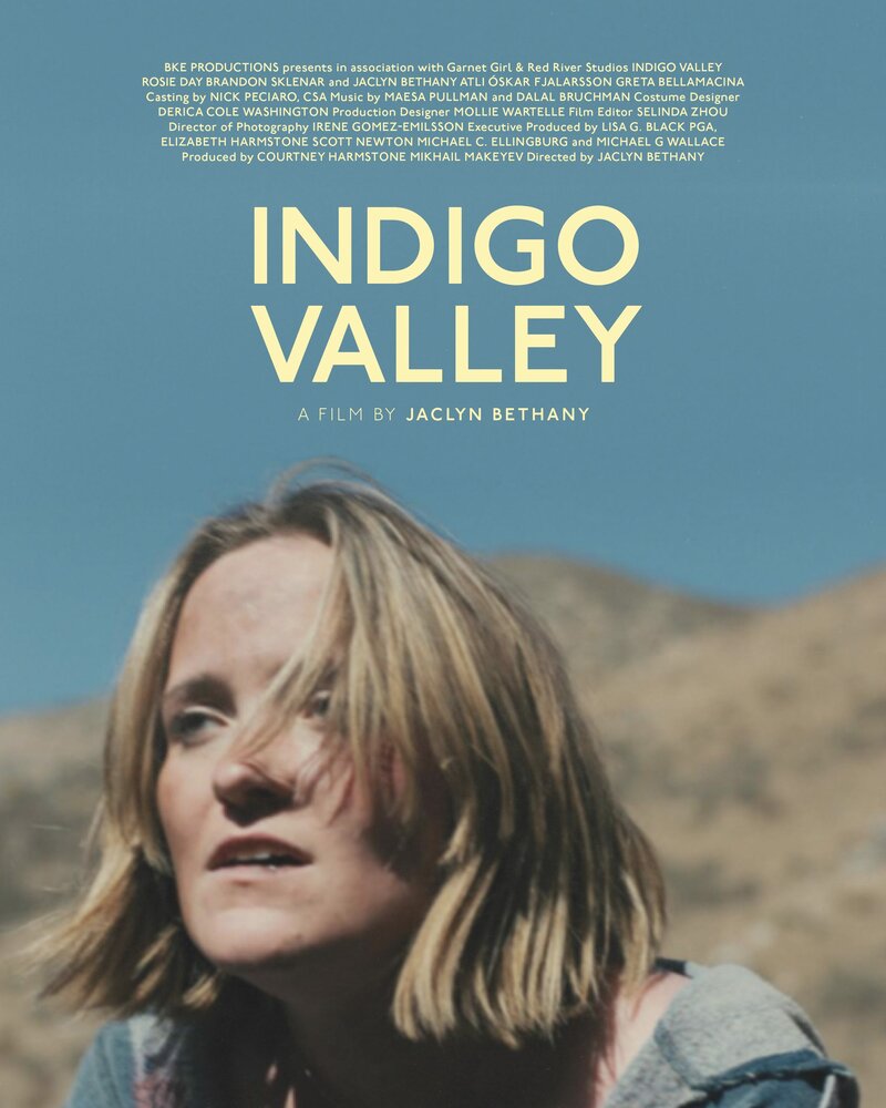 Долина индиго (2020) постер