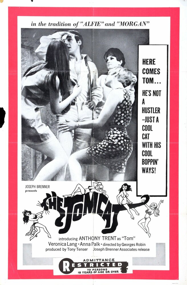 Mini Weekend (1968) постер
