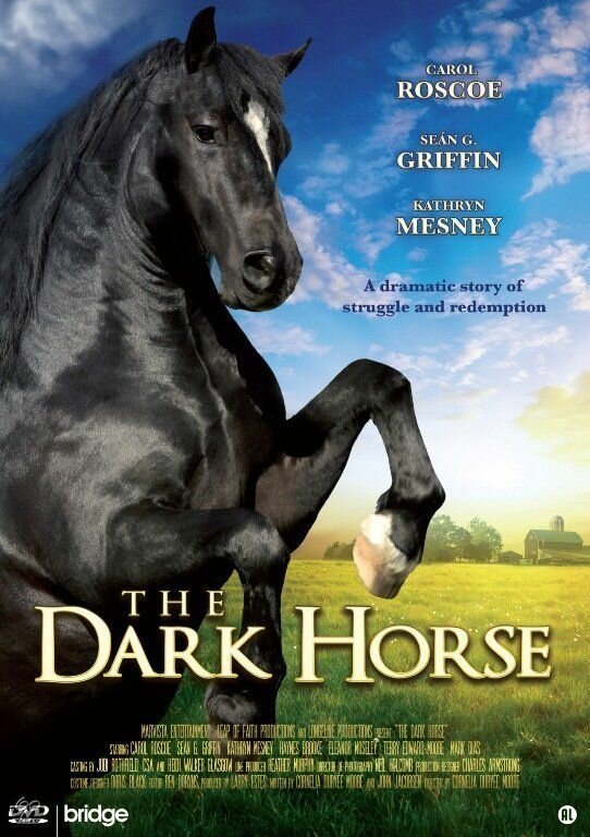 The Dark Horse (2008) постер