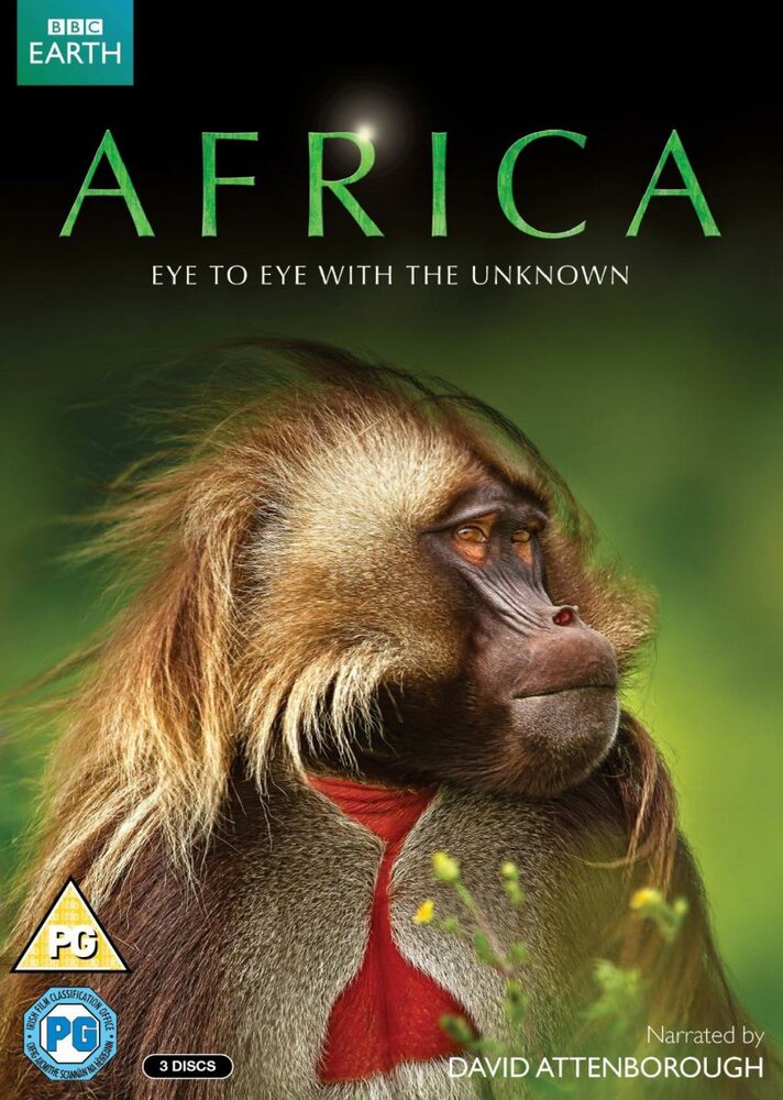 Африка (2013) постер