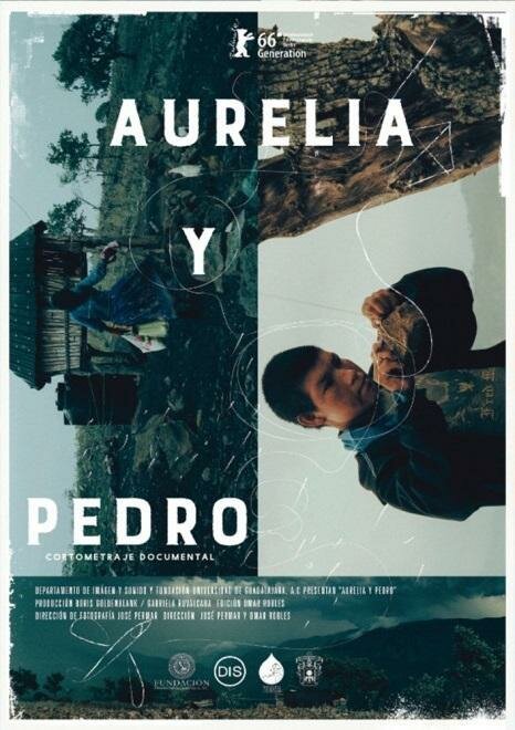 Аурелия и Педро (2016) постер