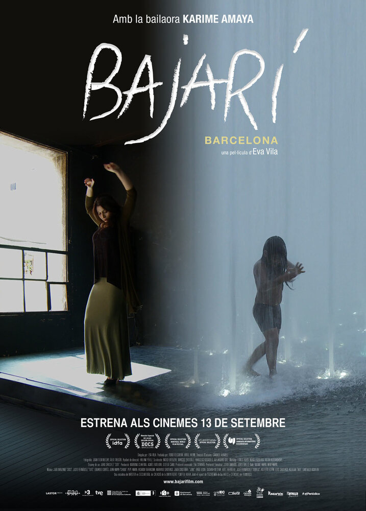Бахари (2013) постер