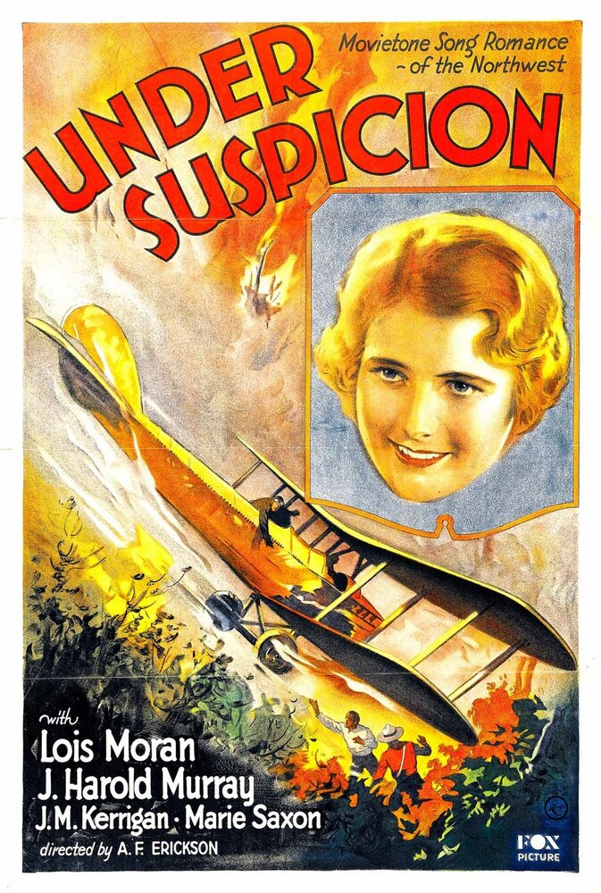 Under Suspicion (1930) постер