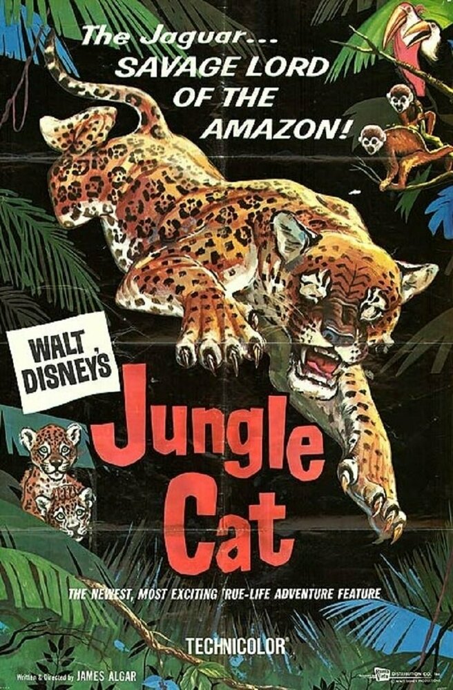 Дикая кошка джунглей (1959) постер