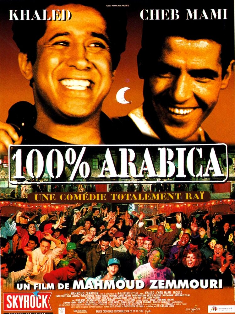 100% араб (1997) постер