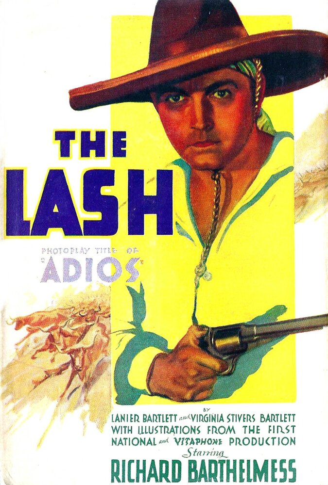 Удар плетью (1930) постер
