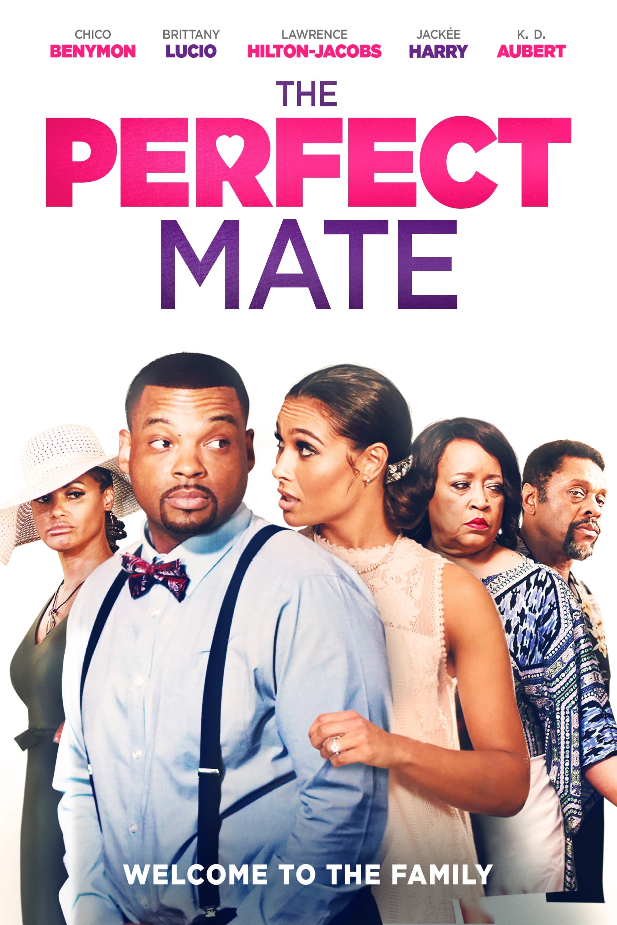 The Perfect Mate (2020) постер