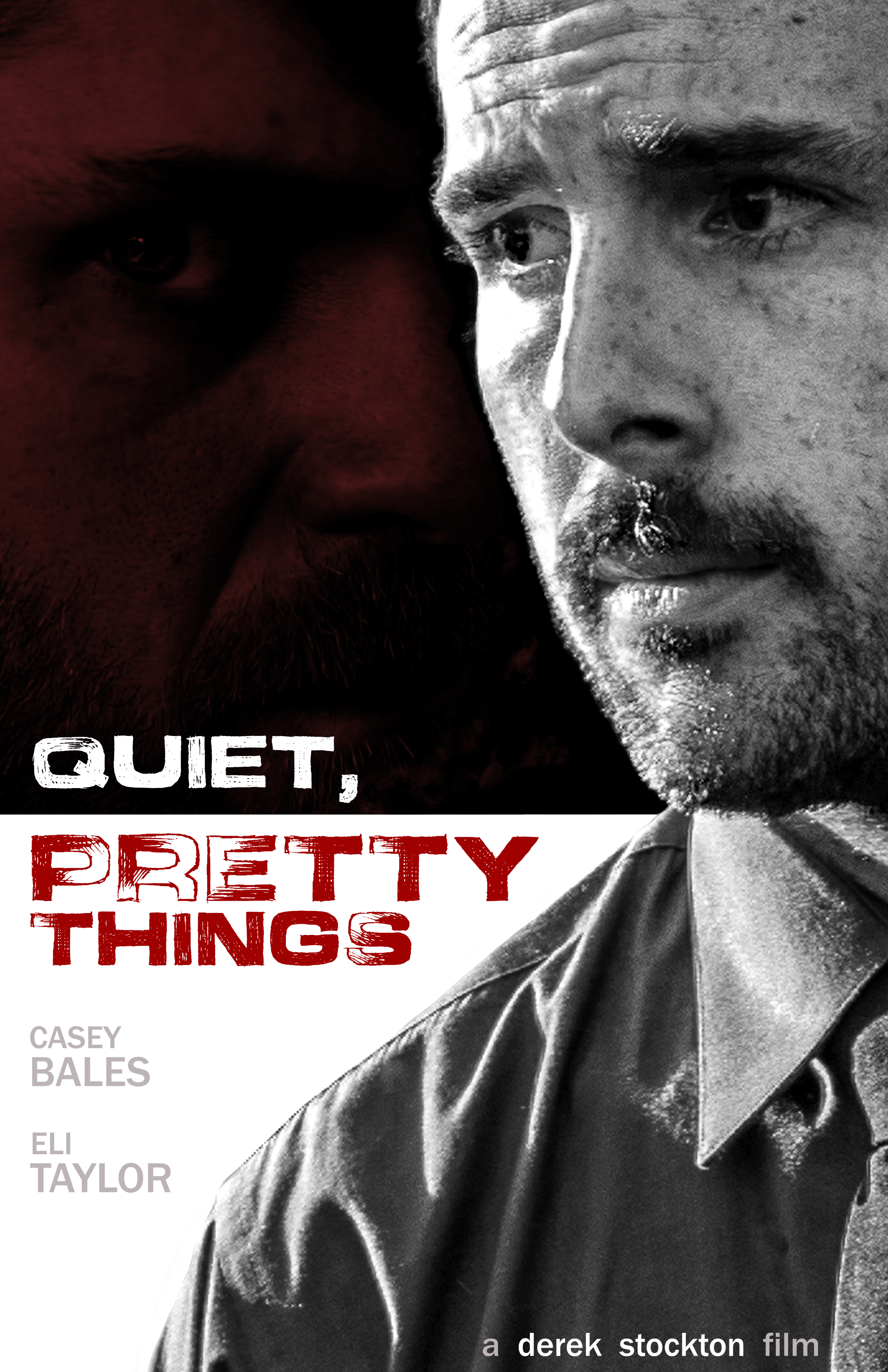 Quiet, Pretty Things (2020) постер