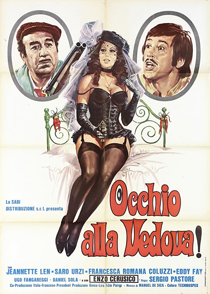 Посмотрите на вдову! (1975) постер