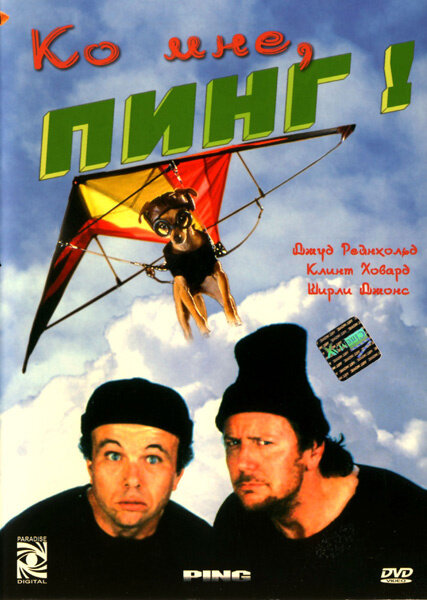 Ко мне, Пинг! (2000) постер
