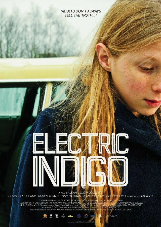 Electric Indigo (2013) постер