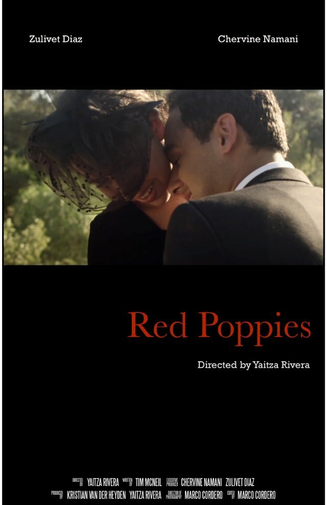 Red Poppies (2013) постер