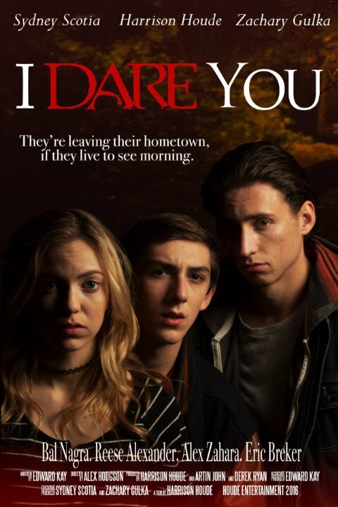 I Dare You (2016) постер