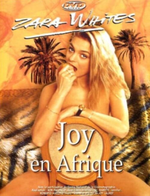 Джой в Африке (1992) постер