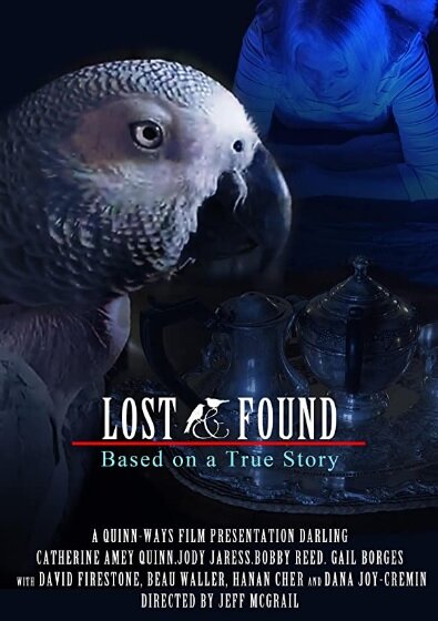 48 hour Lost & Found (2020 IV) (2020) постер