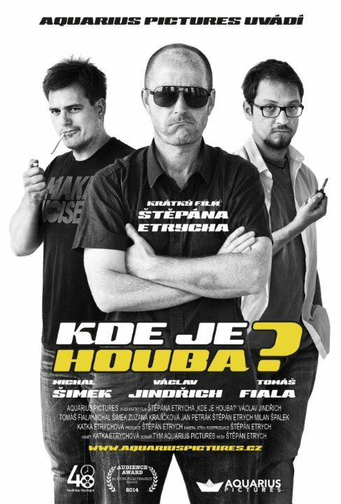 Kde je Houba? (2014) постер