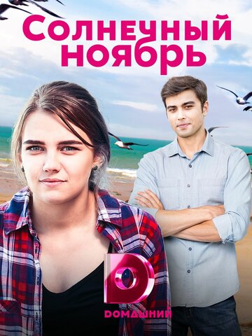 Солнечный ноябрь (2019) постер